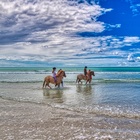 Agulhas/Struisbaai Horse Riding - Chas Everitt Cape Agulhas - Stefan Smit Photography