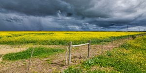 2018_09_18_13.55.22_1_1__1572854194