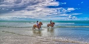 2018_12_08_11.28.27_1_1__1572854195