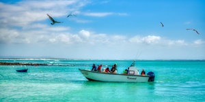 2018_12_14_10.09.13_1_1__1572854195