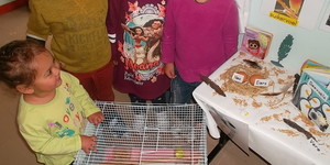 PK_Bird_Display_1572867874