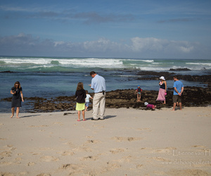 The Perfect Family Getaway