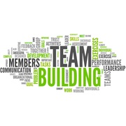 Group Alignment Coaching