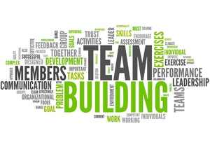 Group Alignment Coaching