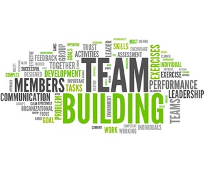 Group Alignment Coaching