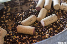 stanford_wine_route_stanford_wines_1573130728