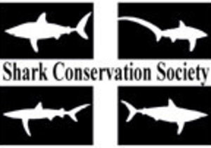 Wilfred Chivell awarded lifetime membership to the Shark Conservation Society!
