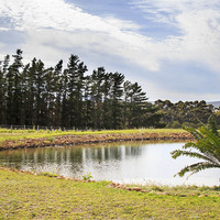 Stanford Wine Route - Picnic Farms