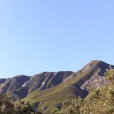 Stanford - Misty Mountain Estate