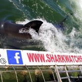 Photo of the day - Close encounter!