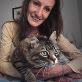 Pet Sitter / House Sitter with Tiger in Hermanus - Grace House and Pet Sitting - Xplorioâ„¢ Gansbaai