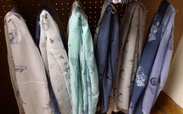 WhatsApp_Image_2019_11_11_at_10.23.02_1573469344