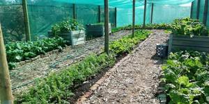 74479791_3328359230537619_366090475301502976_o_1573477037