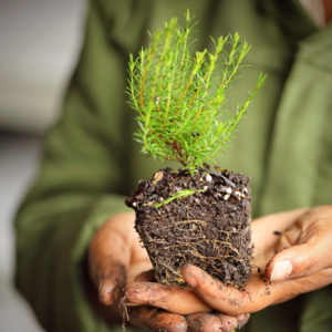 Untitled_design_56_1573477035