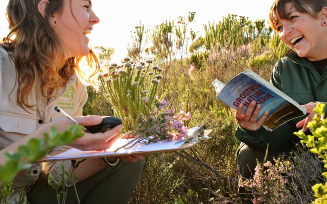 Untitled_design_73_1573477036