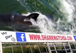 Photo of the day - Close encounter!