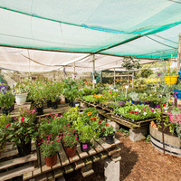 Lifestyle Centre Bredasdorp - Ansa's Nursery