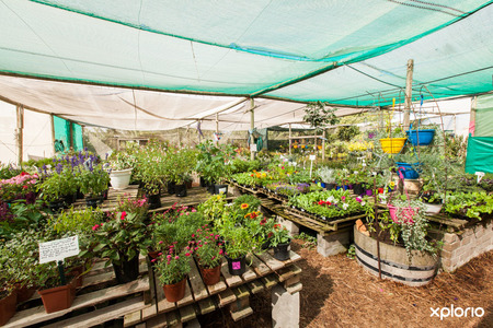 bredasdorp_lifestyle_centre_various_shops_ansas_nursery_2__1573647471