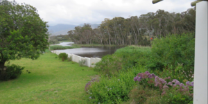 seeff_view_1573800974