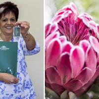 House Sales - Pam Golding Properties Gansbaai - Xplorioâ„¢ Gansbaai 