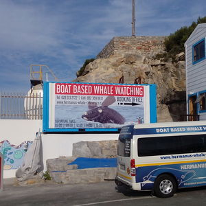 IMG_20190529_143011_1_1574228583