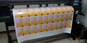 IMG_20191009_161545_1_1574228585