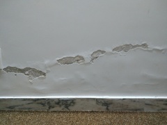 Damp Proofing Experts
