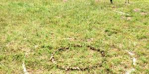 75308003_976507719373996_8375014484342734848_n_1574250043