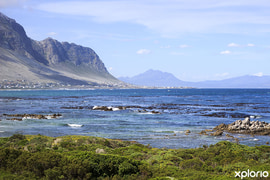 Things to do in Bettyâ€™s Bay