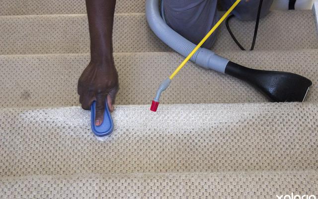 hermanus_house_home_cleaning_services_gazooks_solutions_all_carpets_upholstry_cleaning_1564484773_1574255422