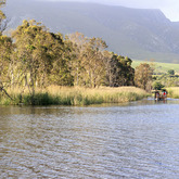 Stanford - River Rat Boat Cruises - The View