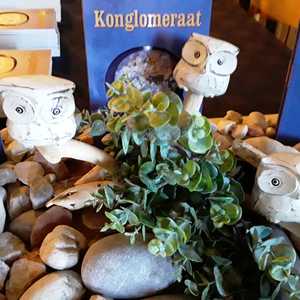 WhatsApp_Image_2019_11_20_at_19.35.47_1574331490