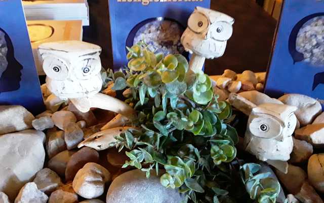 WhatsApp_Image_2019_11_20_at_19.35.47_1574331490