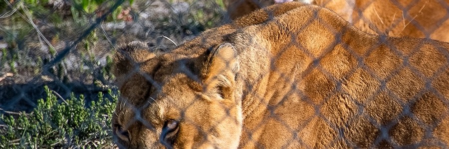 75576500_10157784961167790_5729693016625512448_n_1574663889