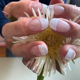 Acrylic Nails - The Beauty Spot - Beauty Clinic