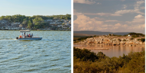 de_hoop_add_image_3_1574775361