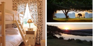 de_hoop_add_image_4_1574775362