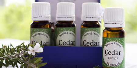 kleinmond_beauty_and_well_being_holistic_healing_libera_sum_intergrated_healing_cedar_anointing_oil_1574778197