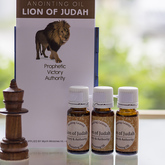 Lion Of Judah Annointing Oil - Mirre & Kaneel EssensiÃ«le Olies / Essential Oils - Xplorioâ„¢ Kleinmond