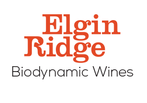 What's happening at Wine and Co. 29 November 2019