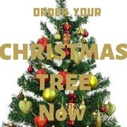 Order Your Christmas Tree