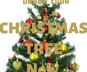Order Your Christmas Tree