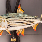 Catch Of The Day - Jan Biltong t/a Suidwes Biltong - Xplorioâ„¢ Kleinmond