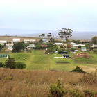 Napier Town View