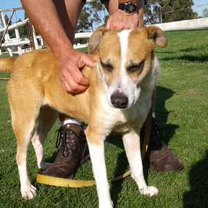 IMG_20190924_WA0062_1575020359