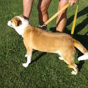 IMG_20190924_WA0064_1575020360