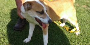 IMG_20190924_WA0065_1575020361