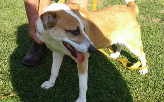 IMG_20190924_WA0065_1575020361