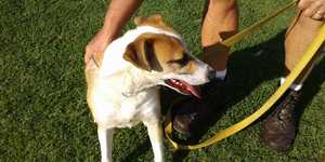 IMG_20190924_WA0066_1575020361