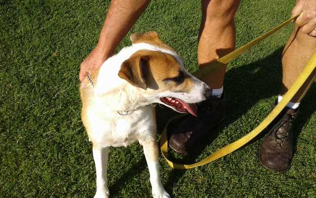 IMG_20190924_WA0066_1575020361